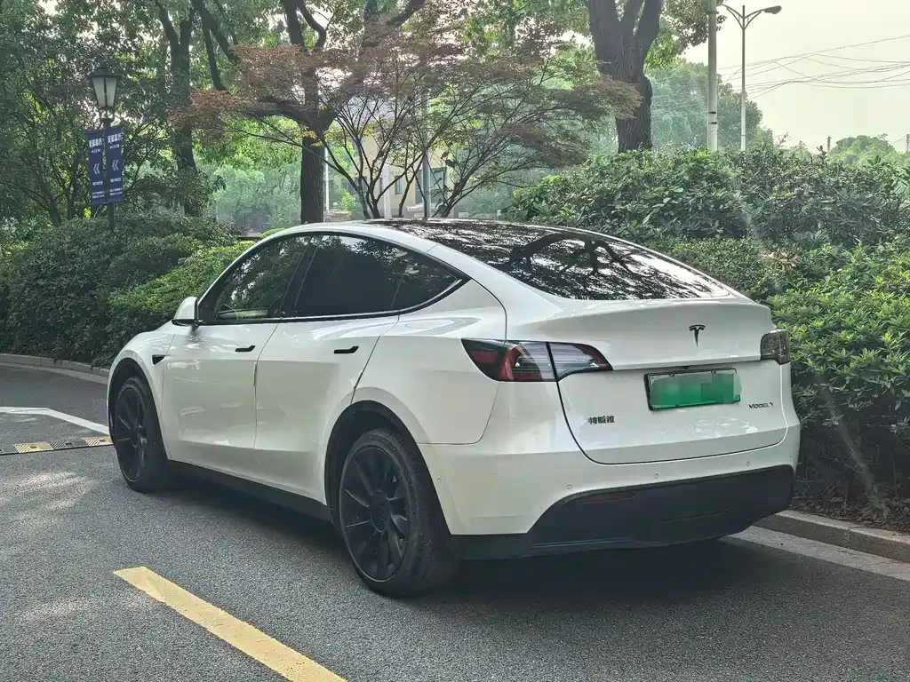 Tesla Model Y — фото 8