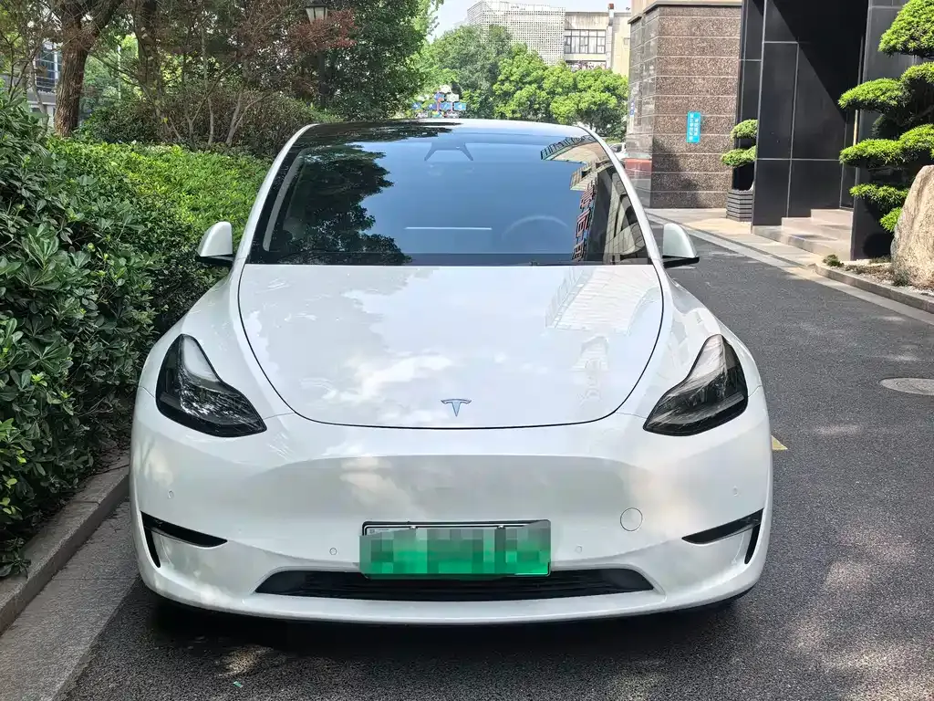 Tesla Model Y — фото 10