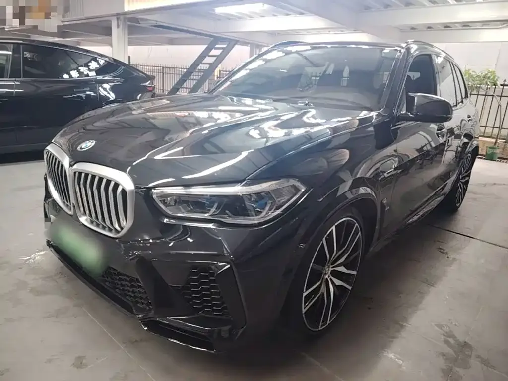BMW X5 New Energy (Import) — фото 9