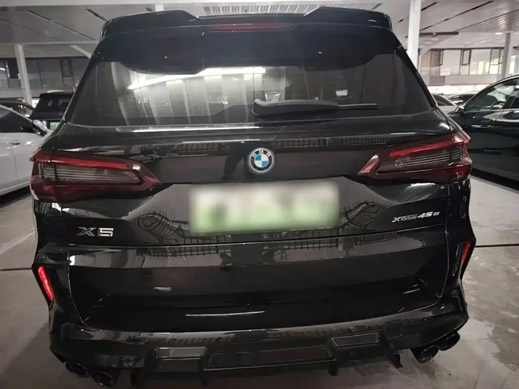 BMW X5 New Energy (Import) — фото 3