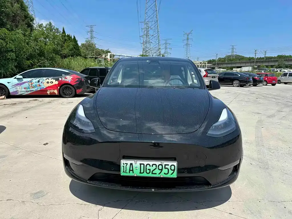 Tesla Model Y — фото 1
