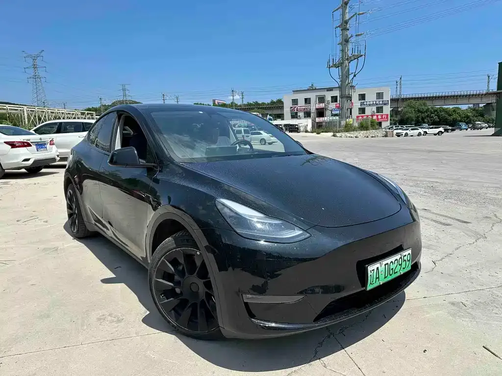 Tesla Model Y — фото 3