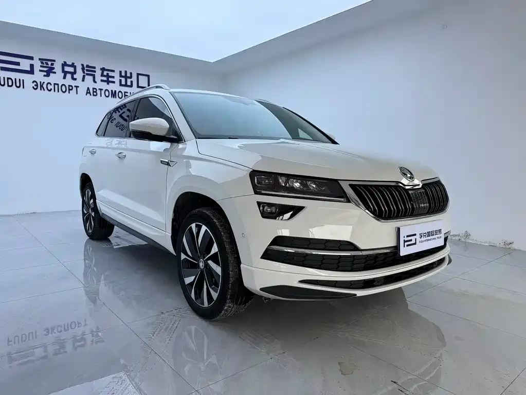 Skoda Karoq — фото 4