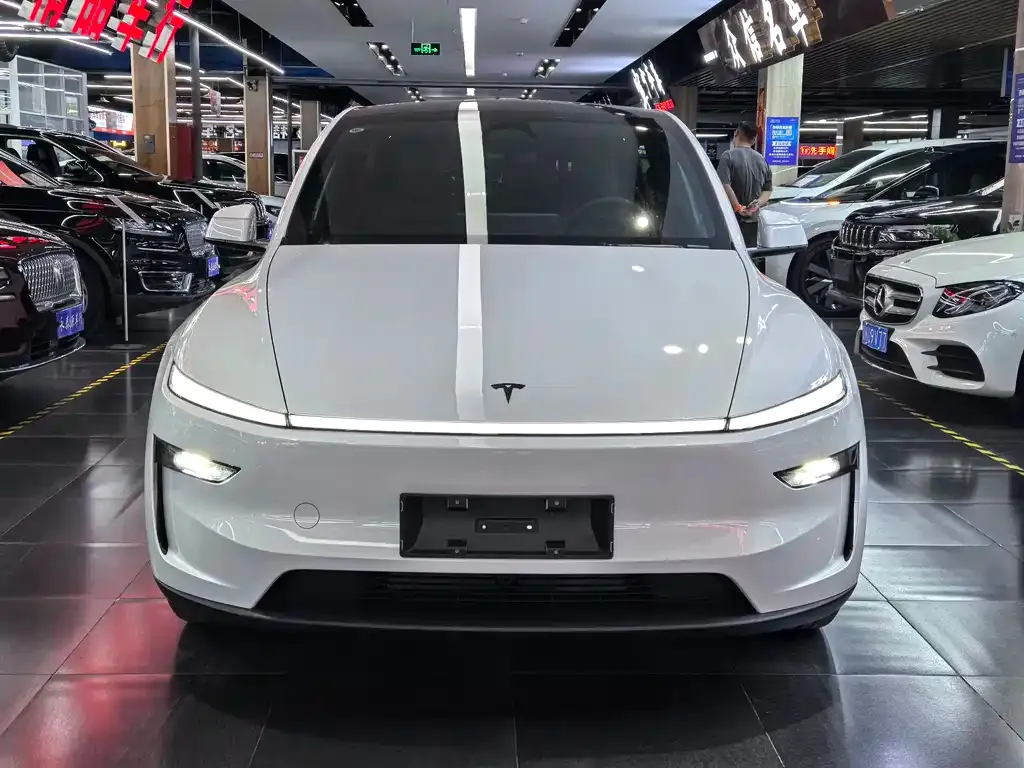Tesla Model Y — фото 4