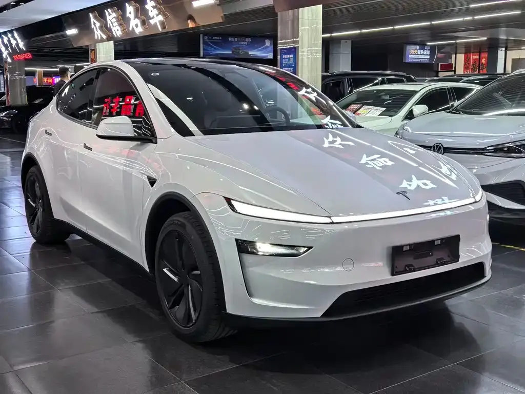 Tesla Model Y — фото 7