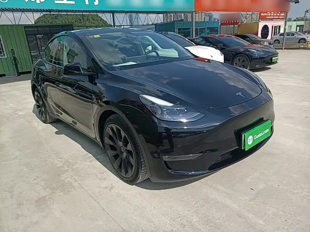 Tesla Model Y — фото 10