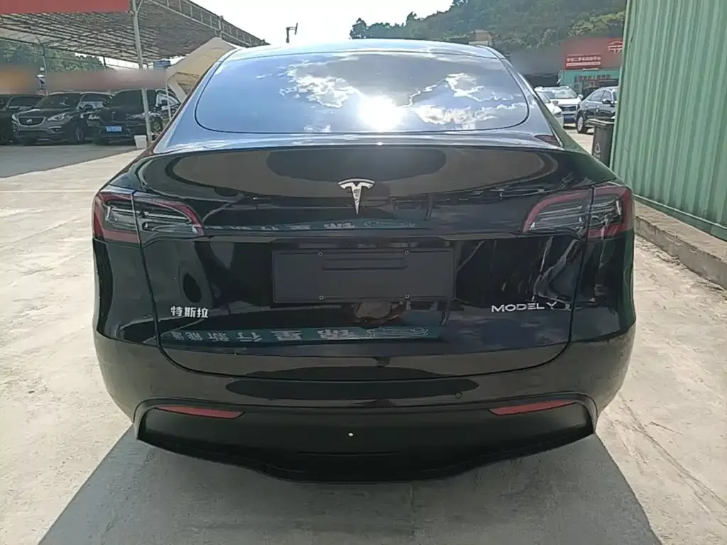 Tesla Model Y — фото 5