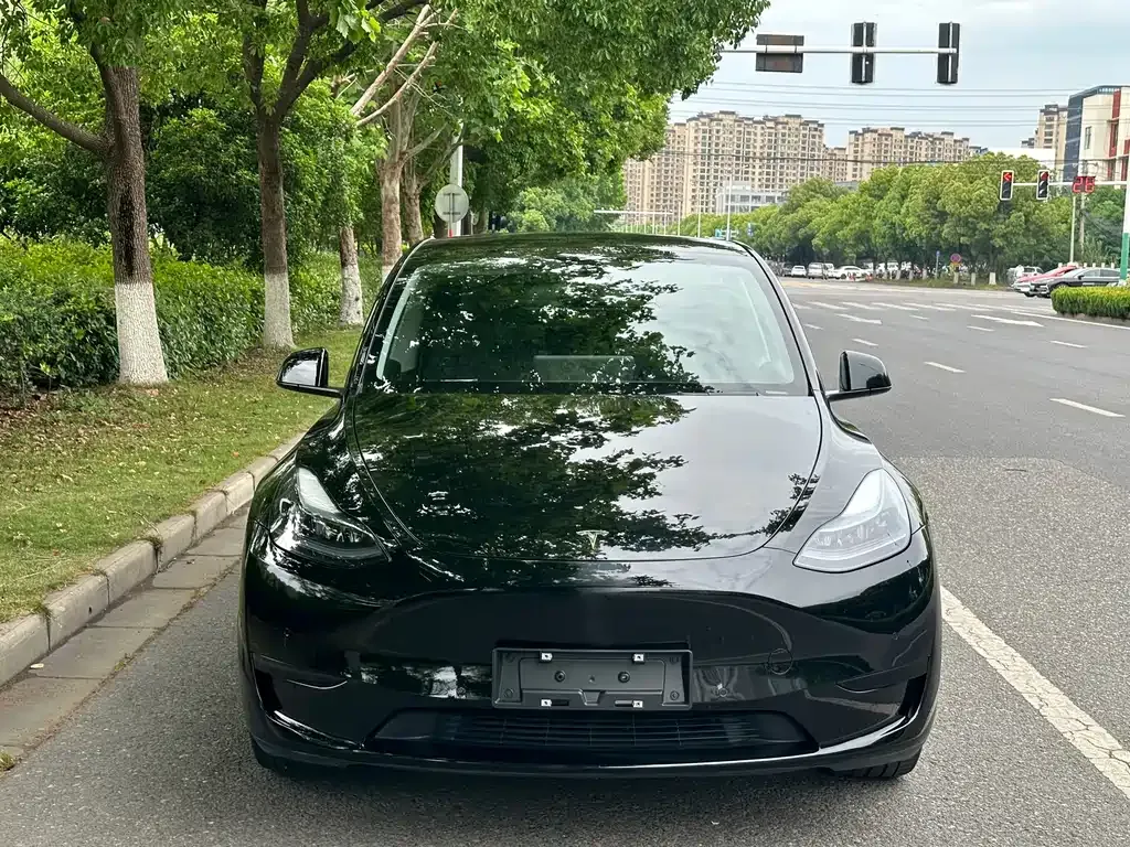 Tesla Model Y — фото 9