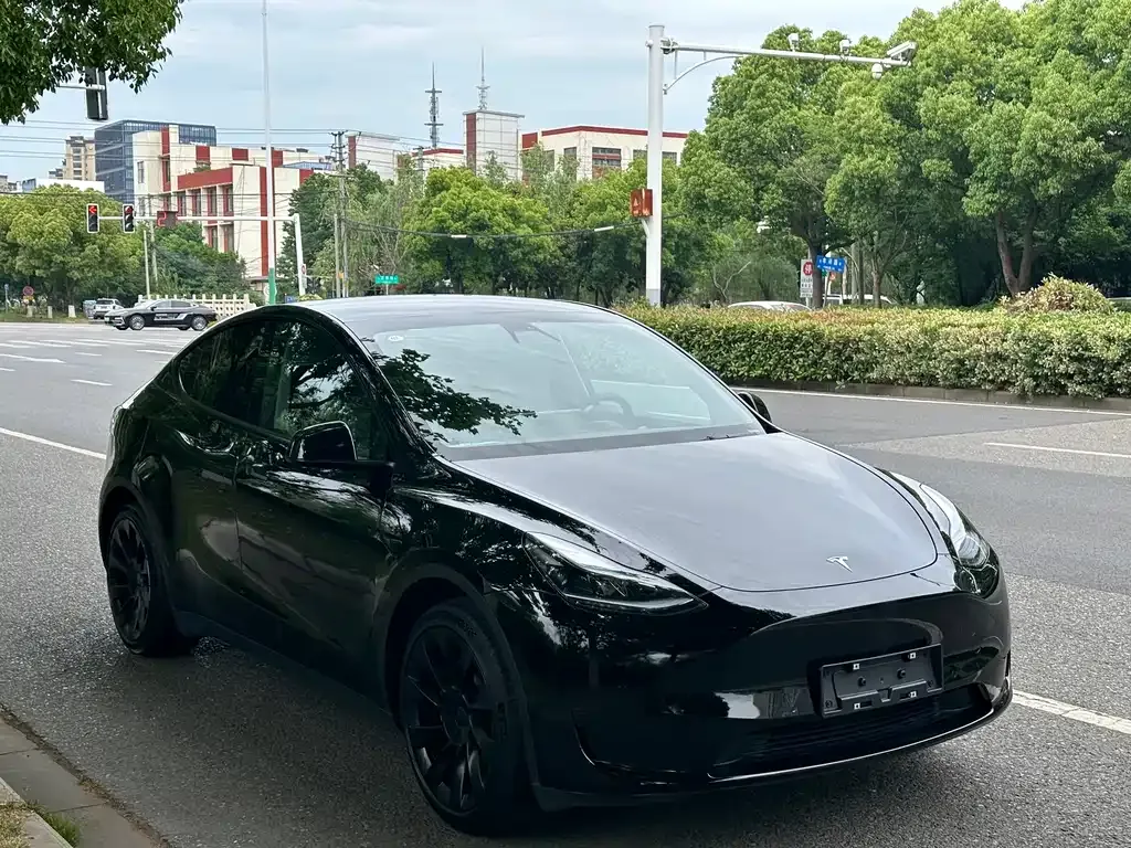 Tesla Model Y — фото 6