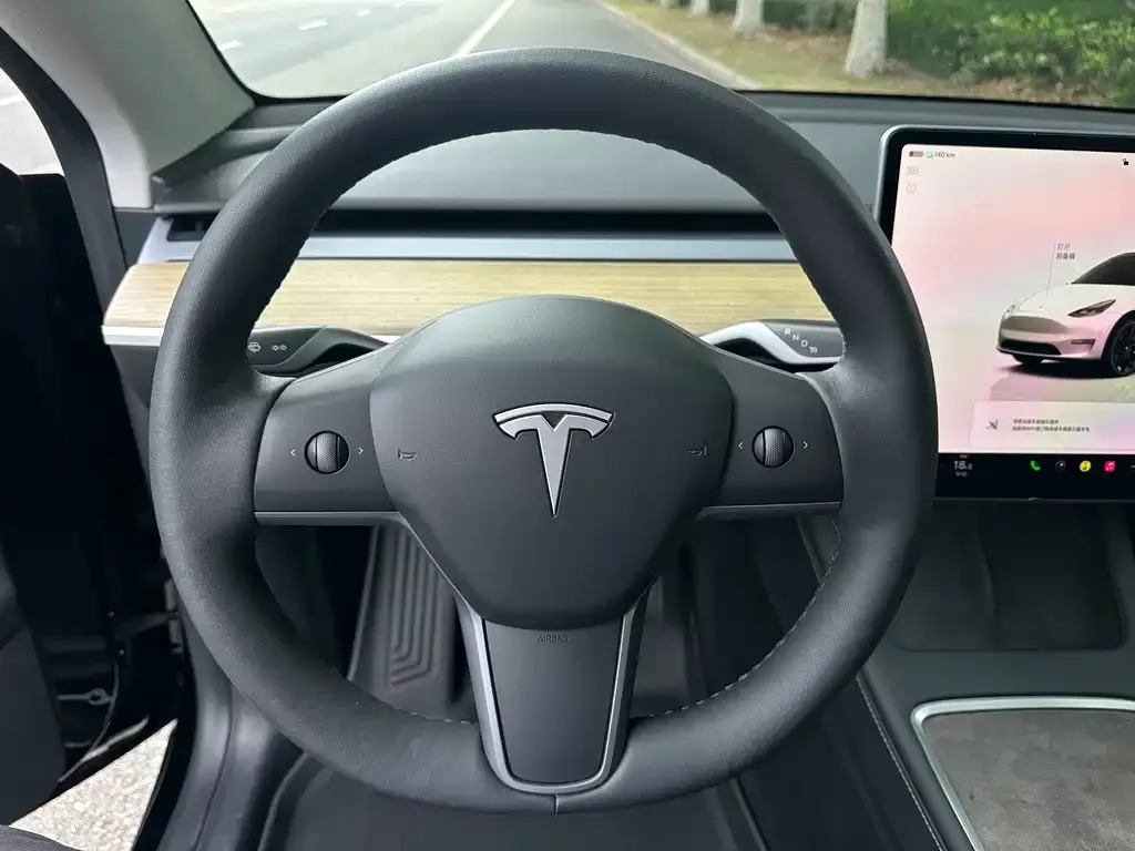 Tesla Model Y — фото 8