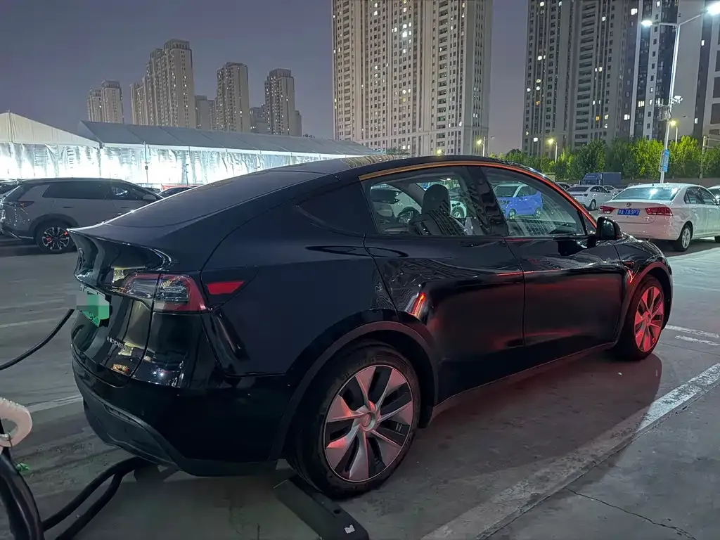 Tesla Model Y — фото 9