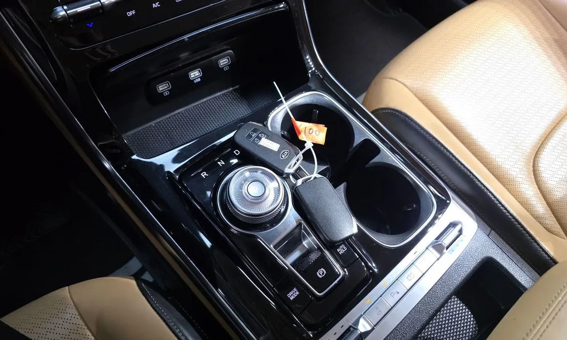 Kia Carnival — фото 10
