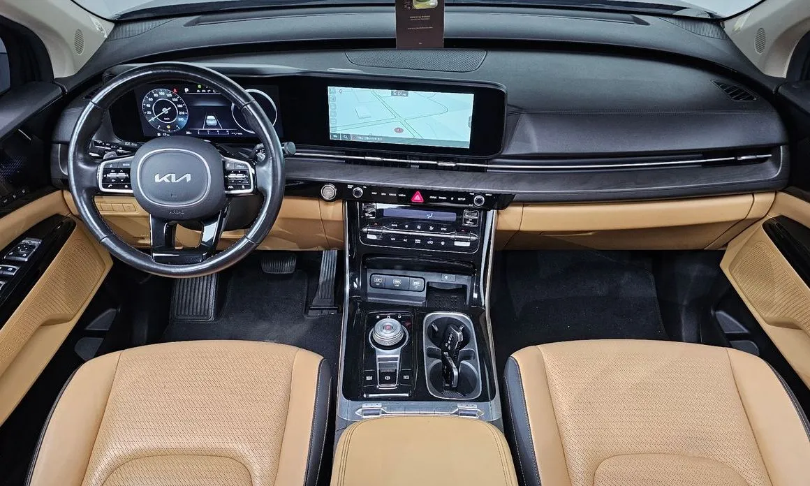 Kia Carnival — фото 10