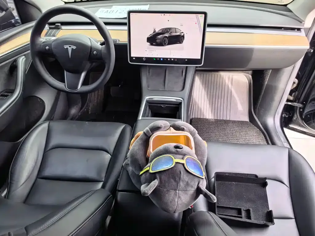 Tesla Model Y — фото 3