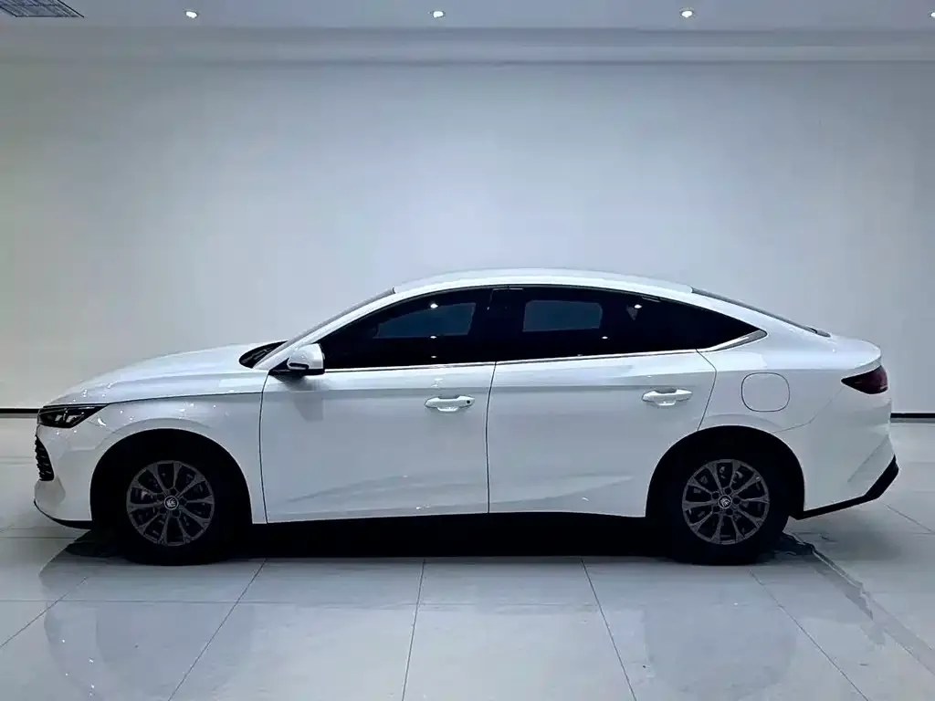 BYD Qin L — фото 4
