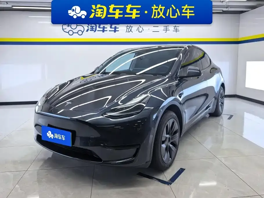 Tesla Model Y — фото 1