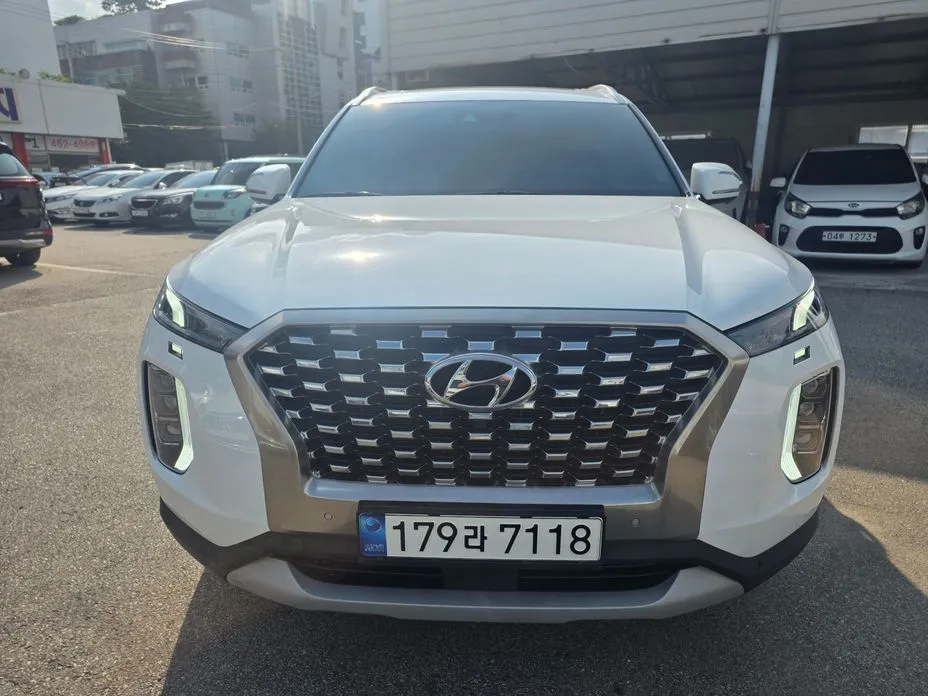 Hyundai Palisade — фото 1