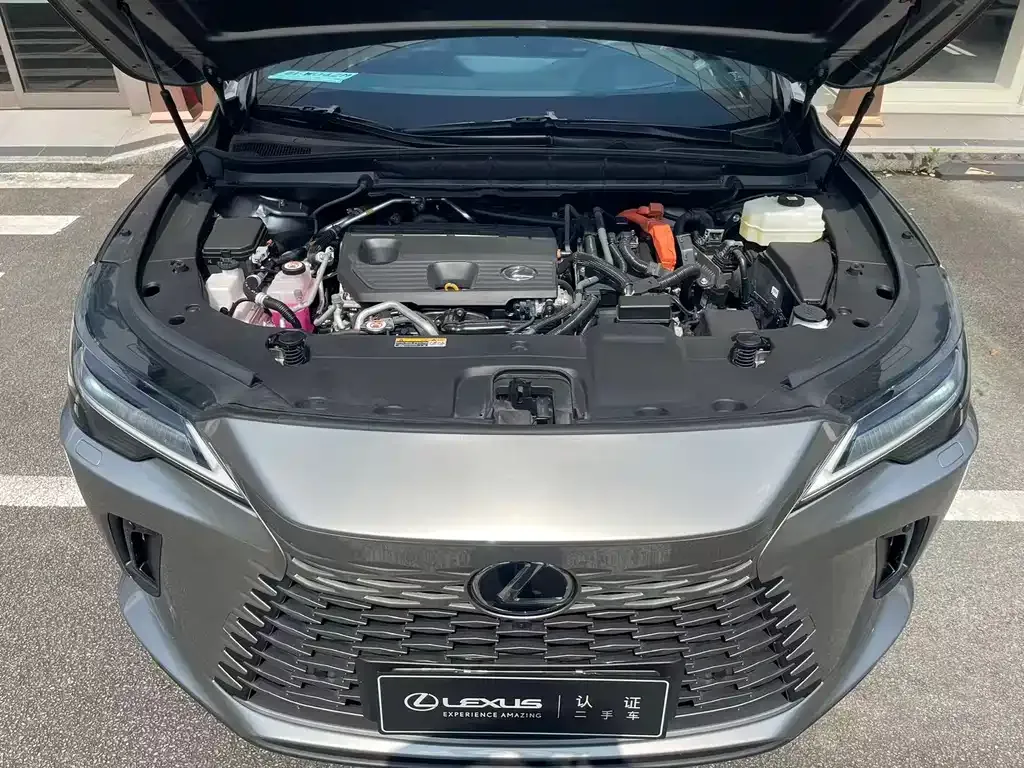 Lexus RX New Energy — фото 9