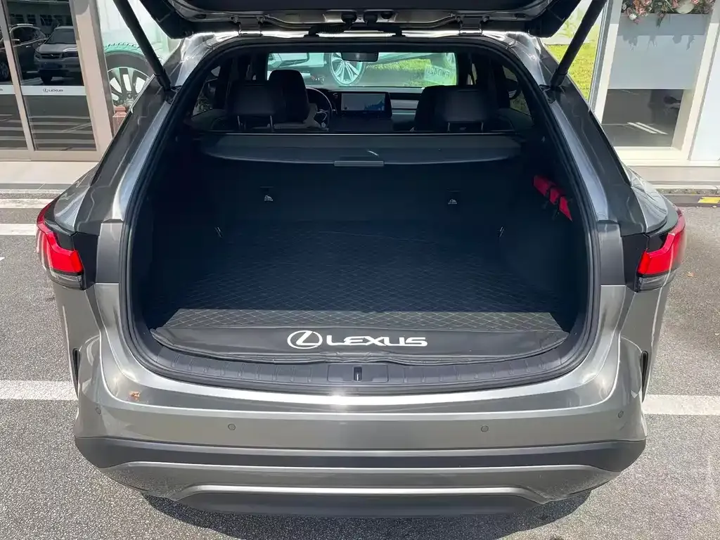 Lexus RX New Energy — фото 8