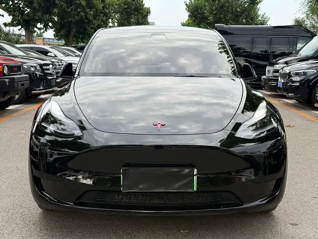Tesla Model Y — фото 10
