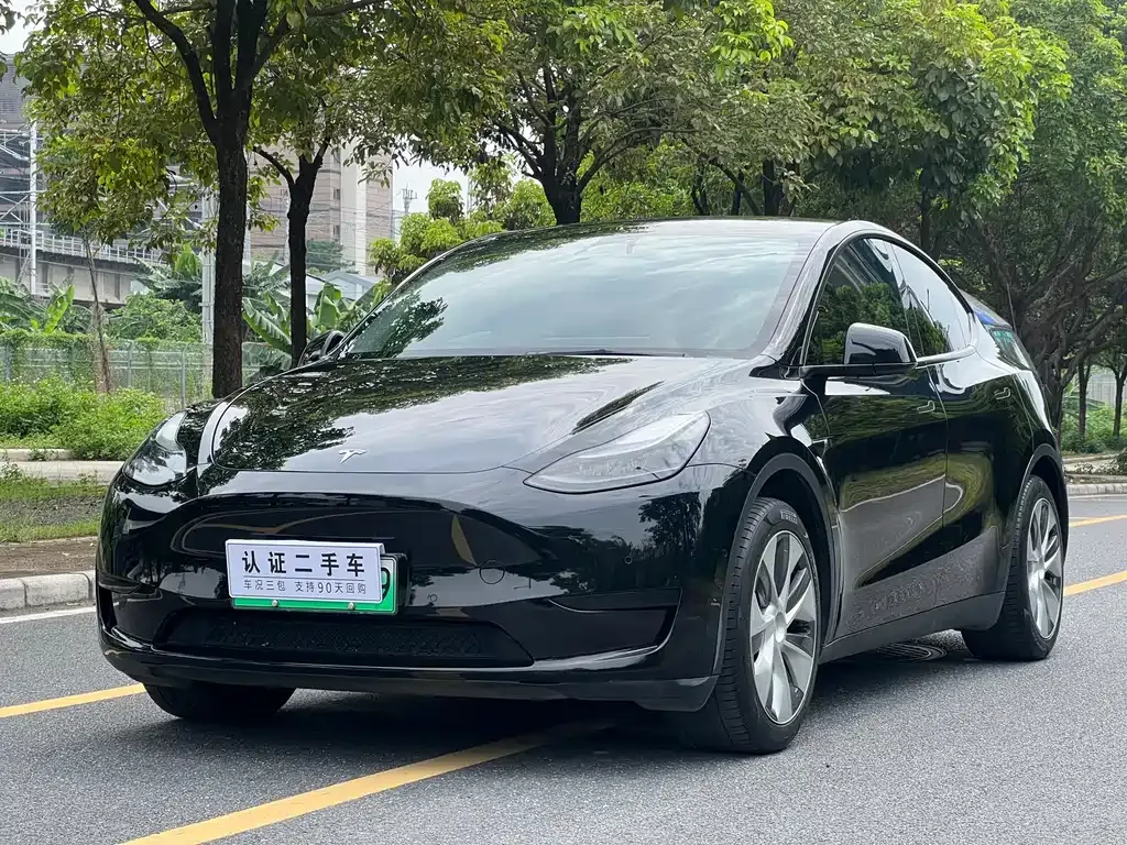 Tesla Model Y — фото 1