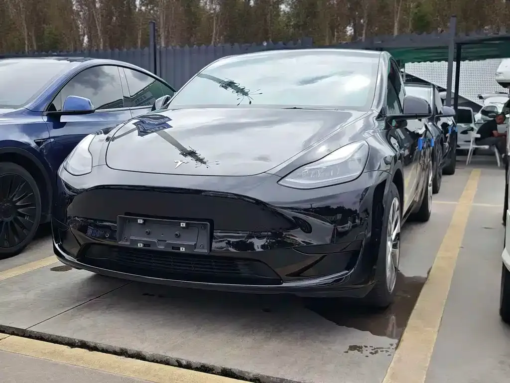 Tesla Model Y — фото 1
