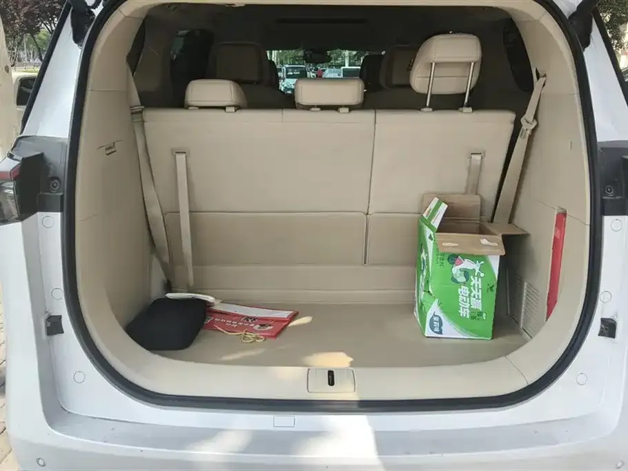 Buick GL8 Hybrid — фото 6