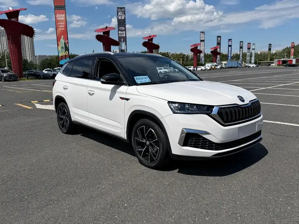 Skoda Kamiq — фото 6