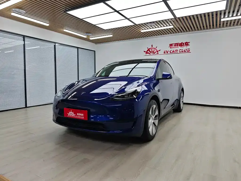 Tesla Model Y — фото 1