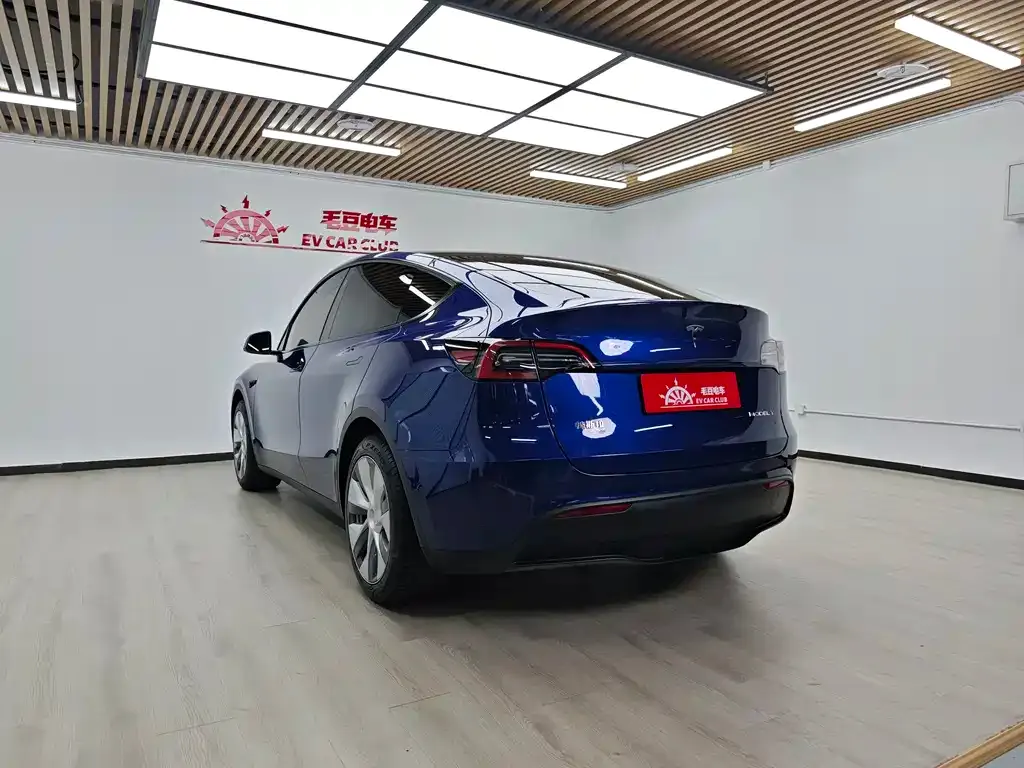 Tesla Model Y — фото 10