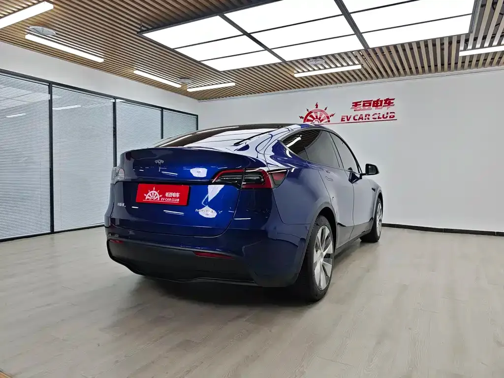 Tesla Model Y — фото 2