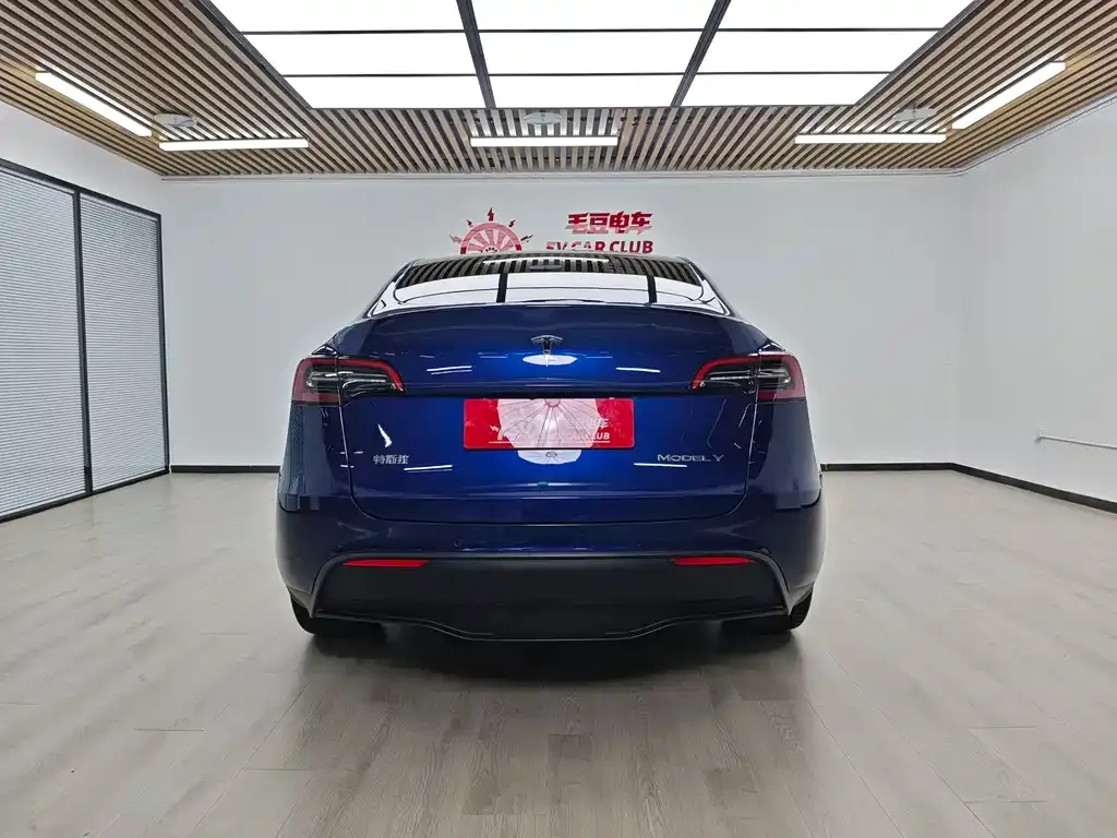 Tesla Model Y — фото 8
