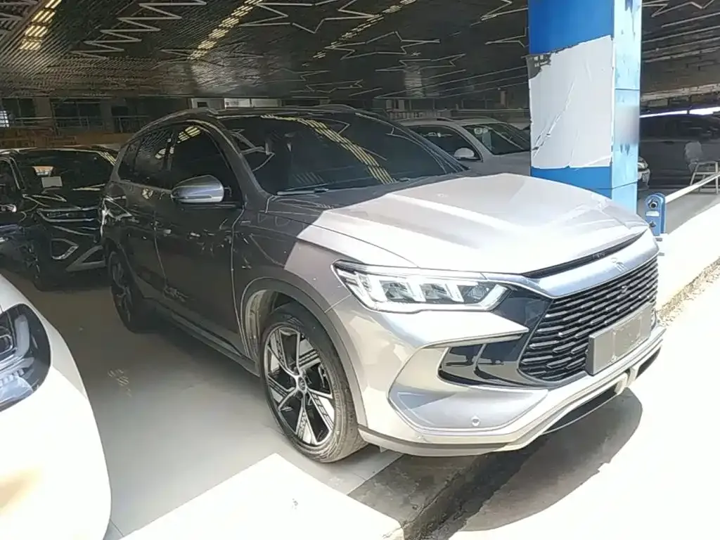 BYD Pro New Energy — фото 9