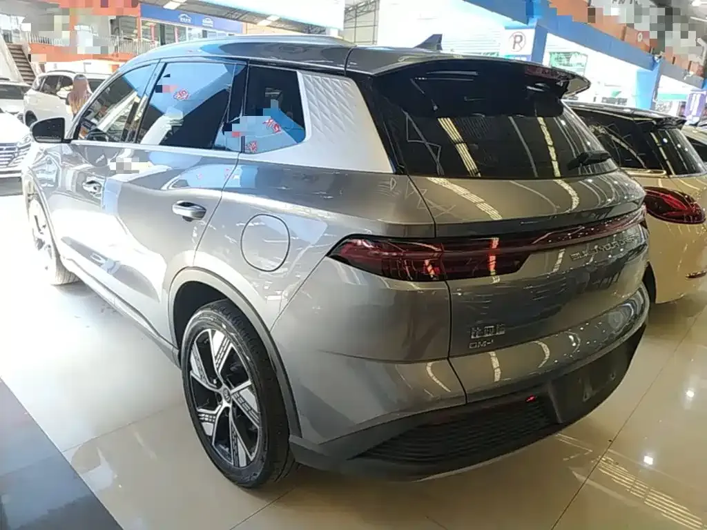 BYD Pro New Energy — фото 4