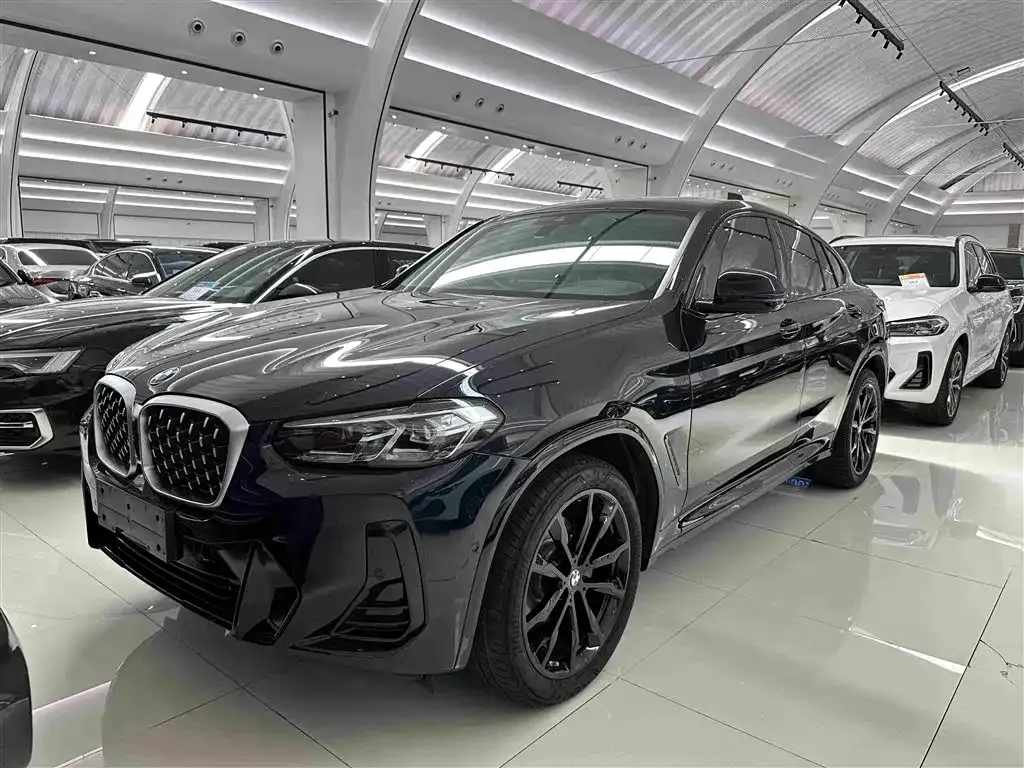 BMW X4 — фото 1