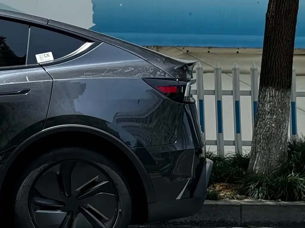 Tesla Model Y — фото 9