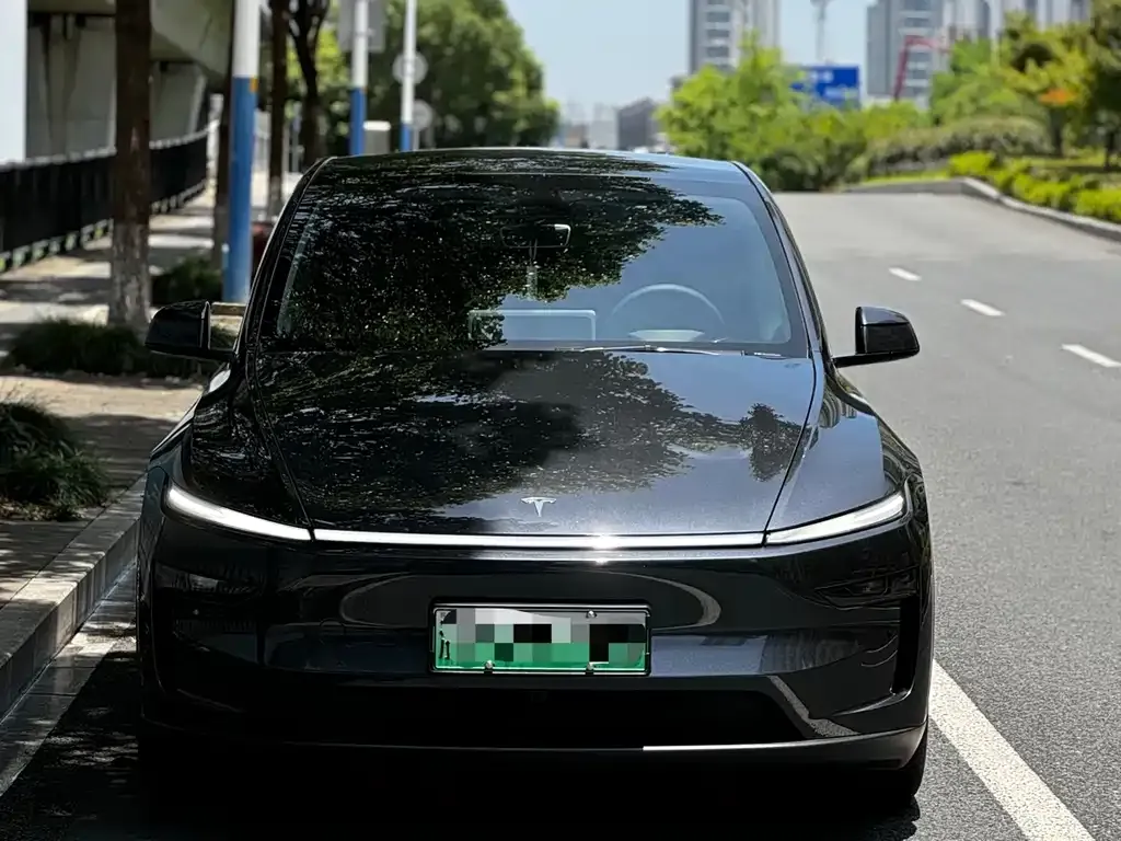 Tesla Model Y — фото 2