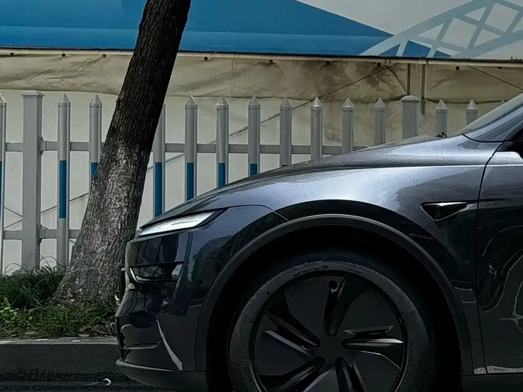 Tesla Model Y — фото 10