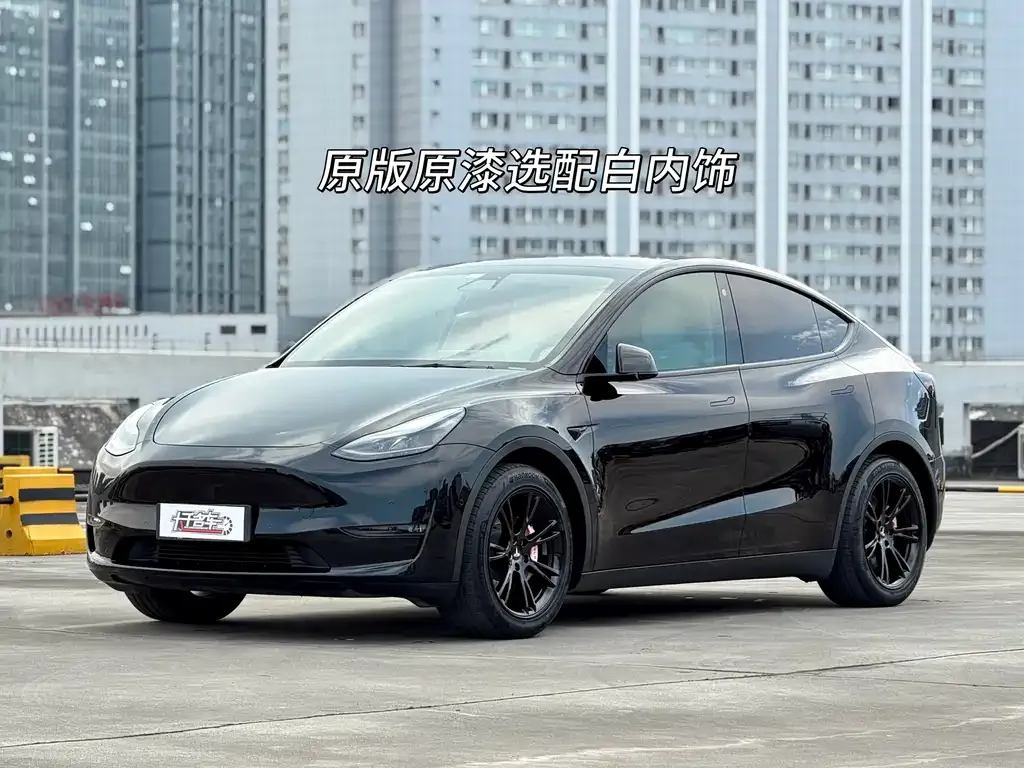 Tesla Model Y — фото 1