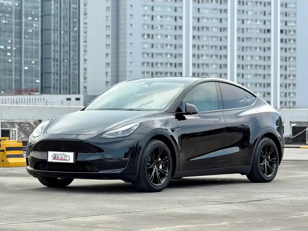 Tesla Model Y — фото 3