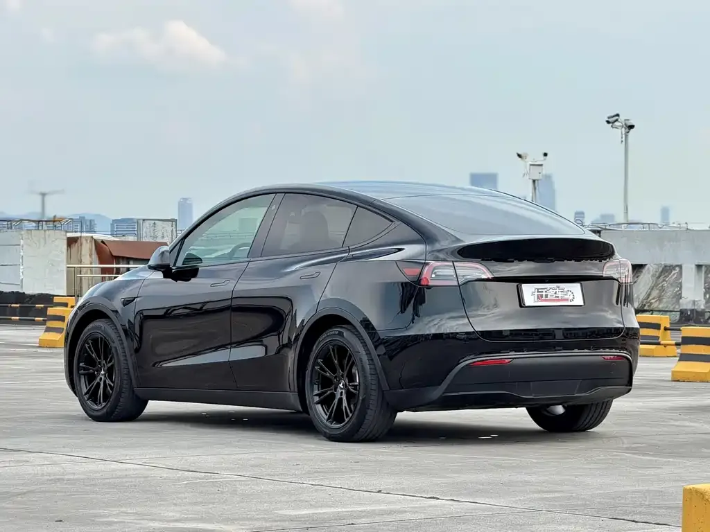 Tesla Model Y — фото 7