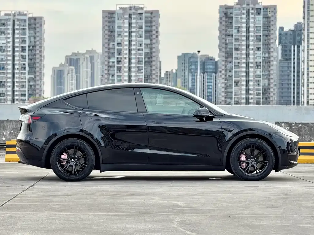 Tesla Model Y — фото 10