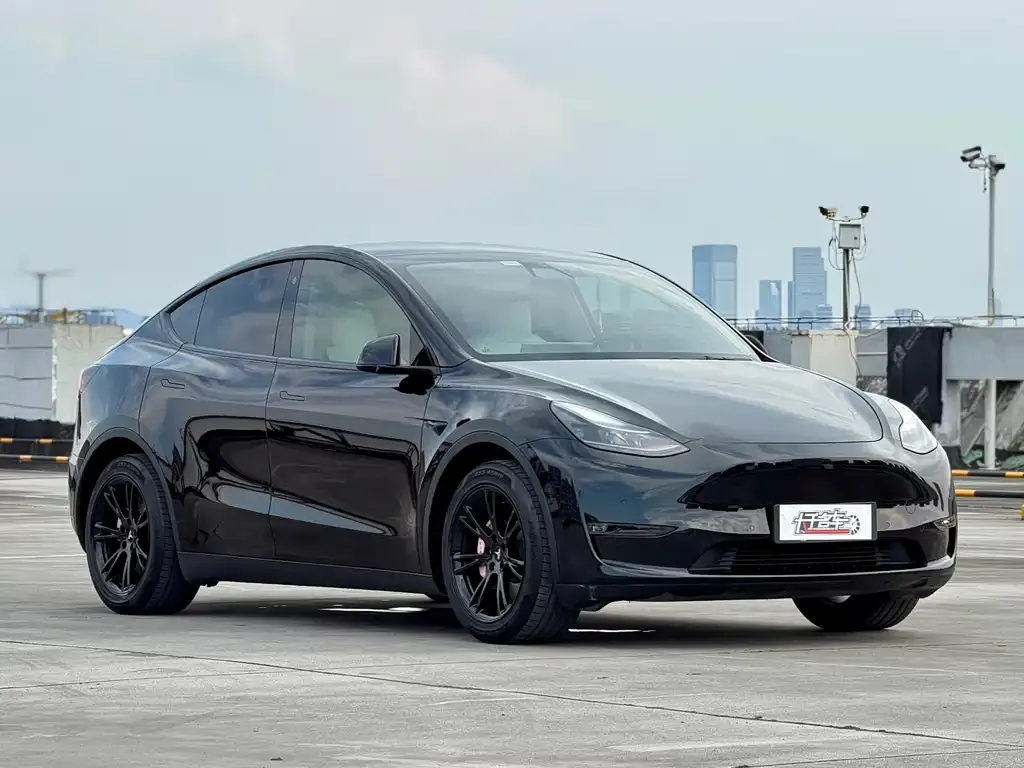 Tesla Model Y — фото 4