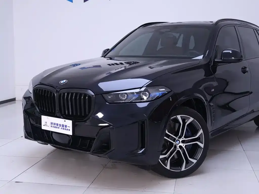 BMW X5 — фото 9
