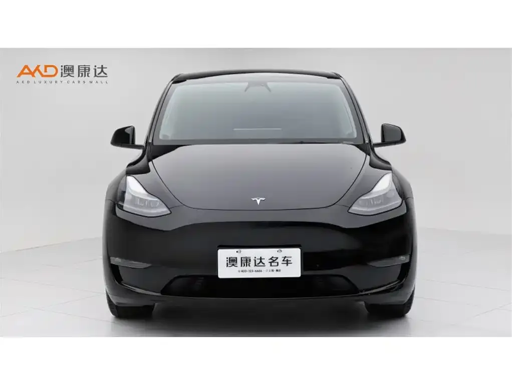 Tesla Model Y — фото 6