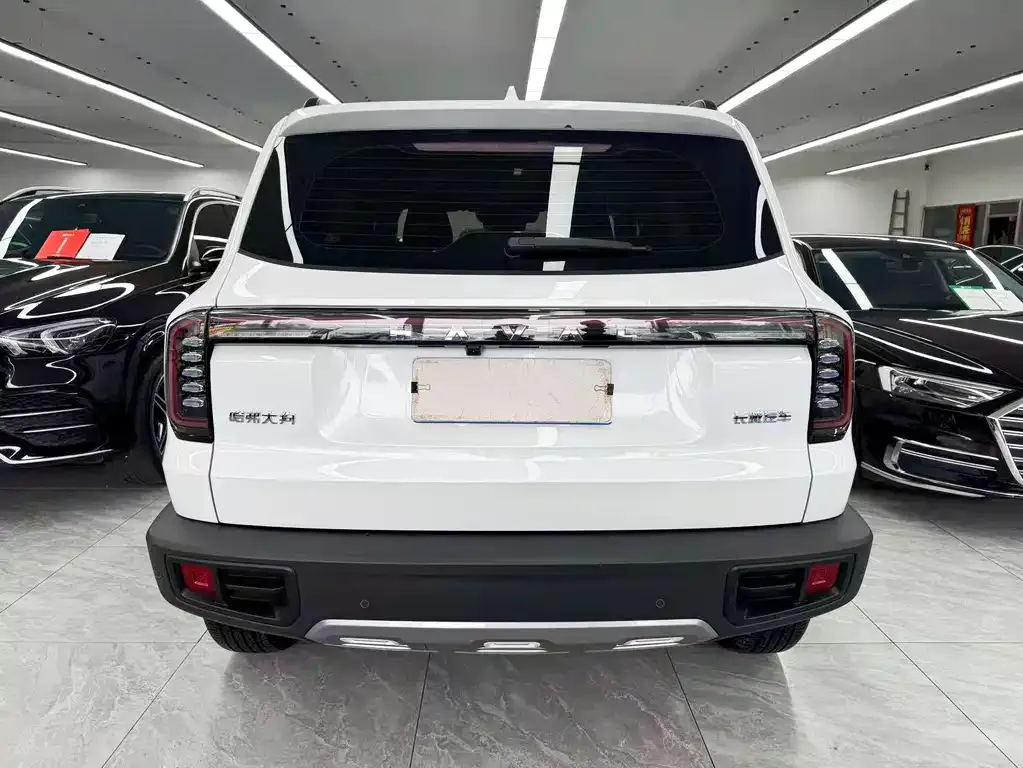 Haval Big Dog — фото 10