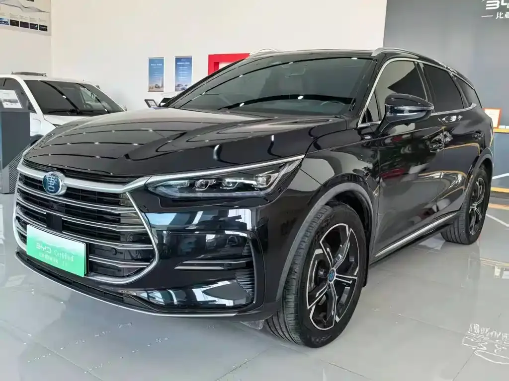 BYD Tang New Energy — фото 1