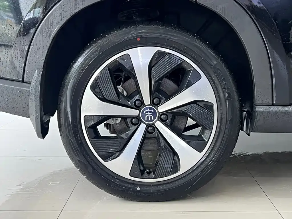 BYD PLUS New Energy — фото 8