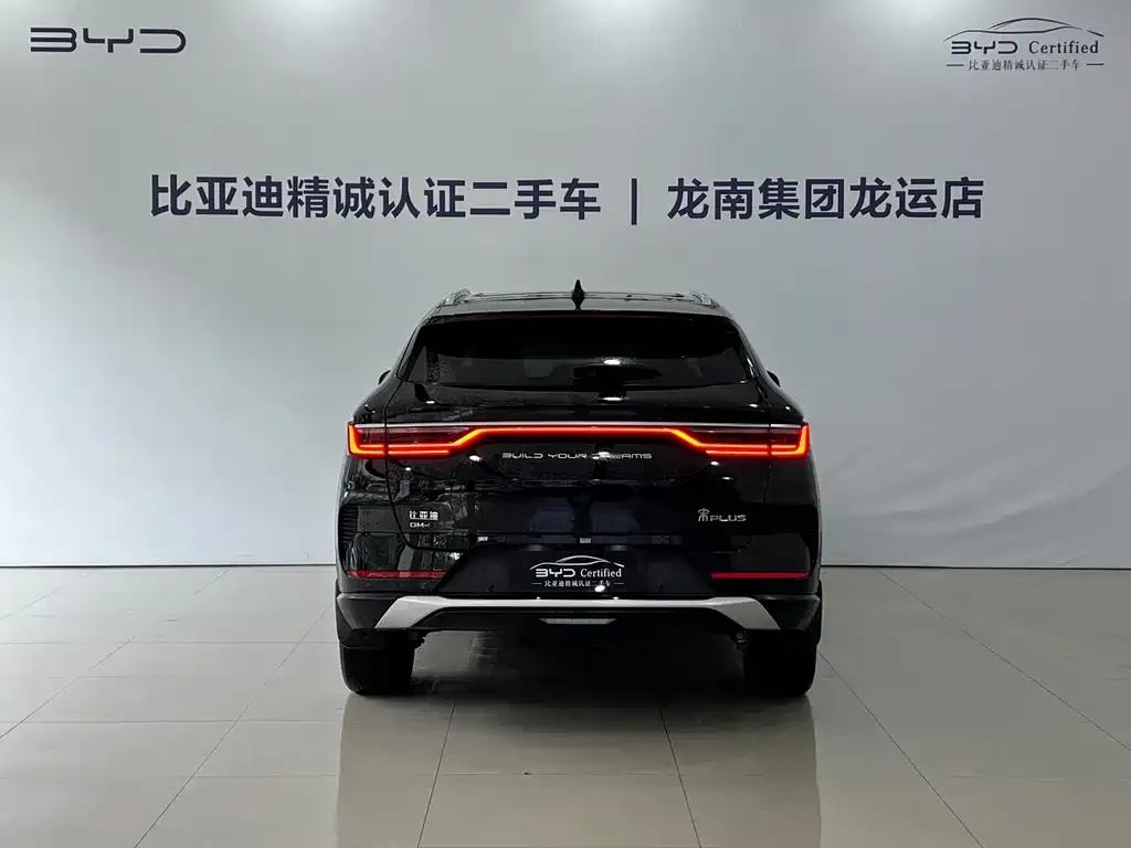 BYD PLUS New Energy — фото 3