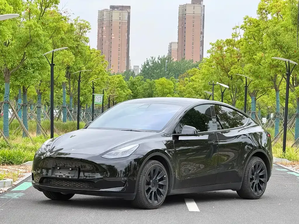 Tesla Model Y — фото 1